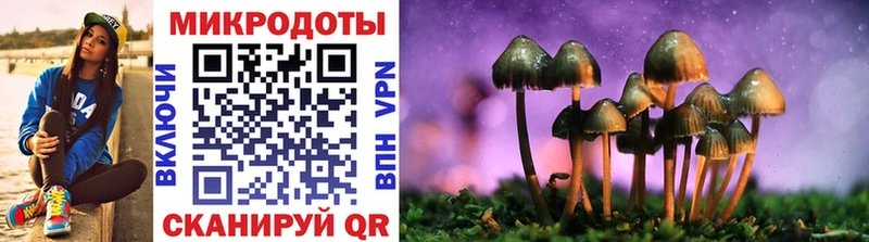 гидра зеркало  Тейково  Галлюциногенные грибы прущие грибы 